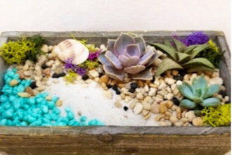 Plant Nite: Beach Scene Terrarium in Distressed Planter